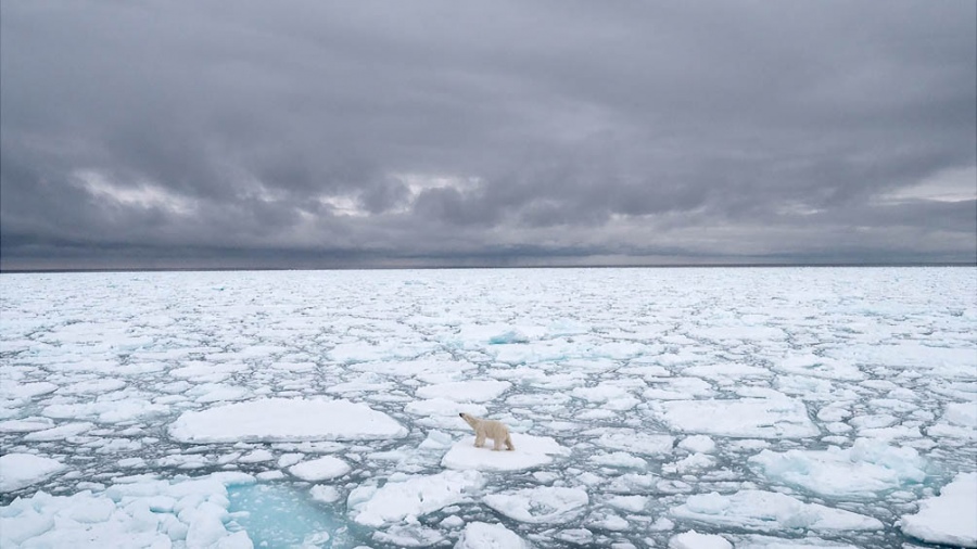 Casi la totalidad de los pases adoptaron como objetivo ideal un mximo de 15C de aumento de la temperatura media del planeta de aqu a mediados de siglo pero el planeta ya lleg a 11C lo que segn los expertos del IPCC ha provocado episodios clim