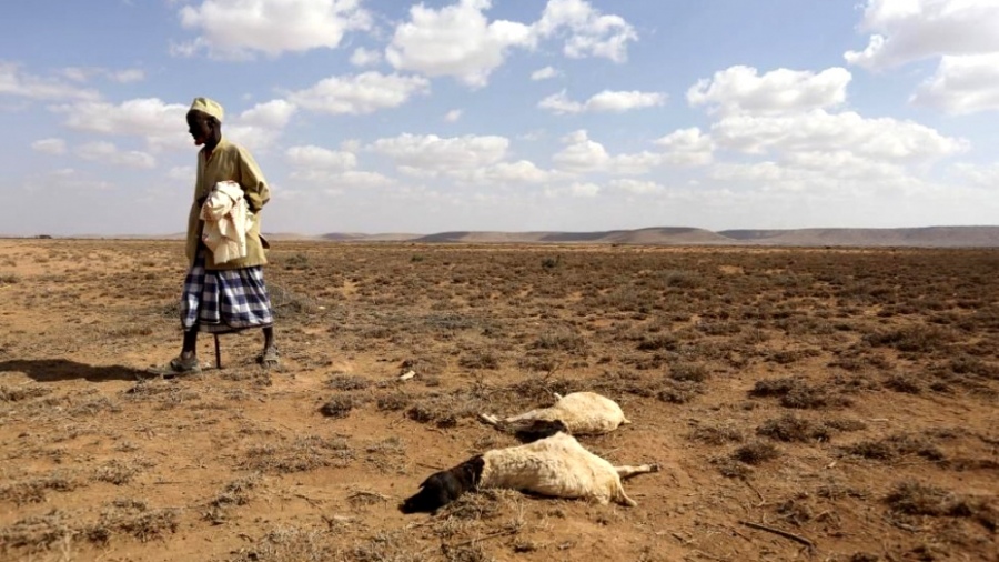 No hay vida saludable sin armona del ser humano con la naturaleza y otros seres vivientes advierte Ferreyra Foto AFP