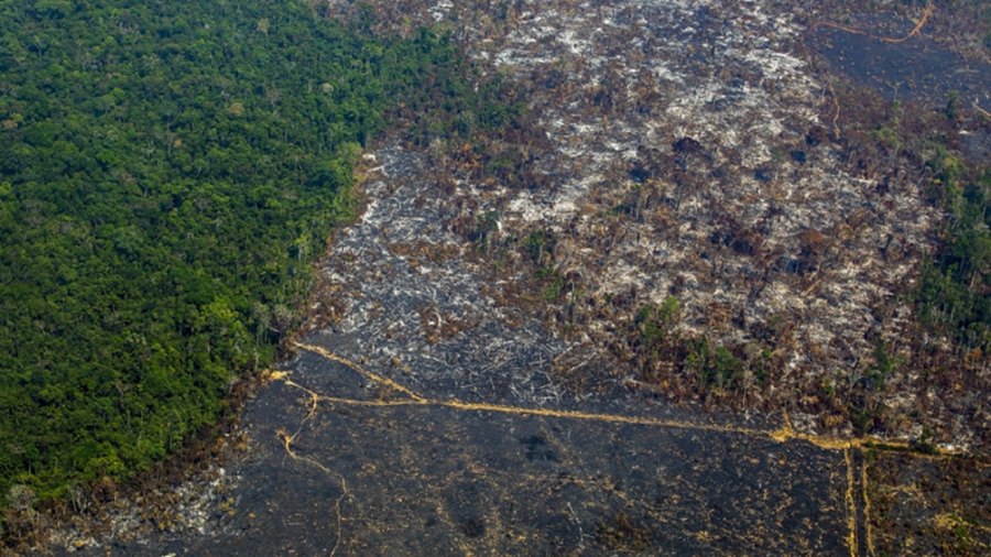 Los pases en vas de desarrollo reivindican especialmente su derecho a seguir aumentando el nivel de vida de sus poblaciones que abarcan la gran mayora del planeta Foto AFP