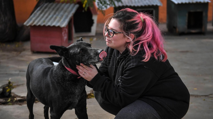 El hogar cuenta actualmente con ms de 60 perros Foto Vctor Carreira