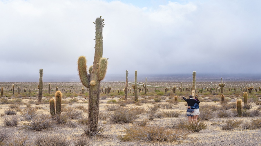 El Parque Nacional Los Cardones en Salta 