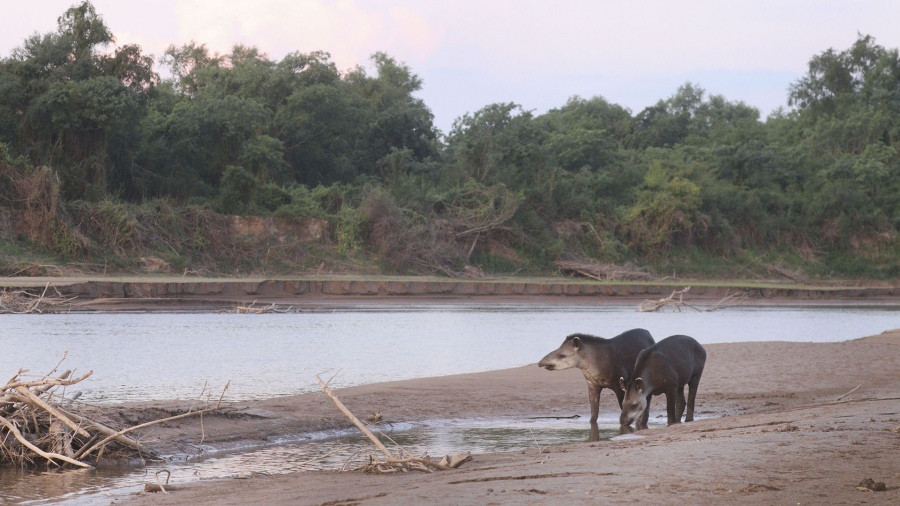 El camping se encuentra ubicado a 36 km del ingreso al rea protegida ms precisamente a orillas del Rio Bermejo