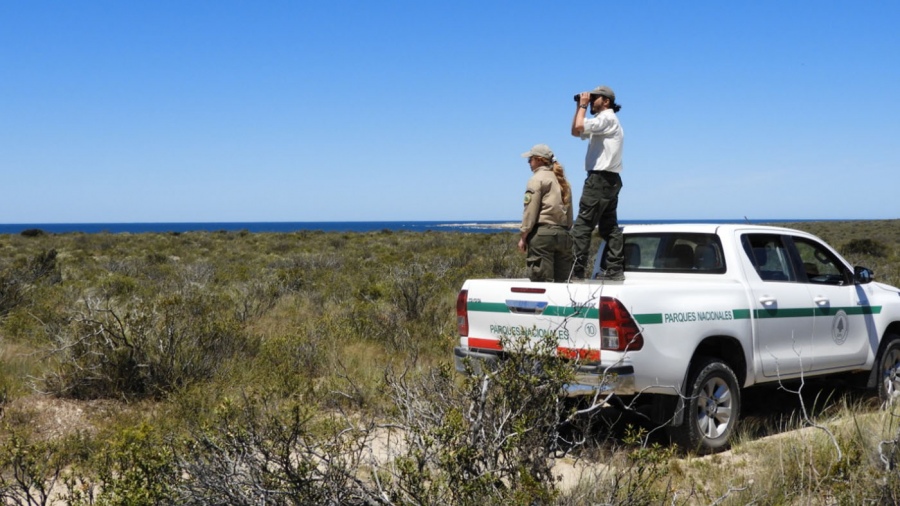 El Complejo Islote de Lobos funciona como reserva provincial desde 1977