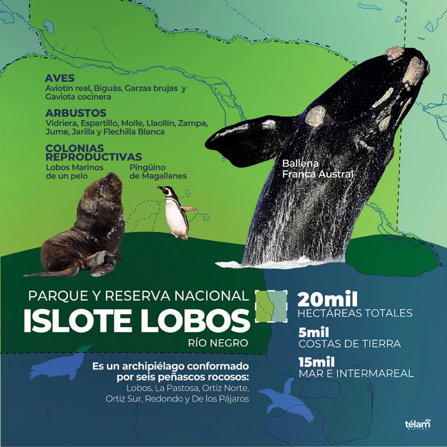 En la reserva hay lobos de un pelo y de dos pelos que son nativos de la regin Antrtica