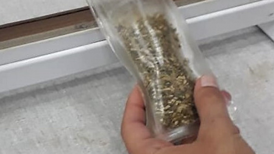 En el Laboratorio de Polmeros y Materiales Compuestos del Departamento de Fsica de la FCEN UBA elaboran films biodegradables en base a almidn de mandioca de papa y de maz Foto Gentileza investigadora