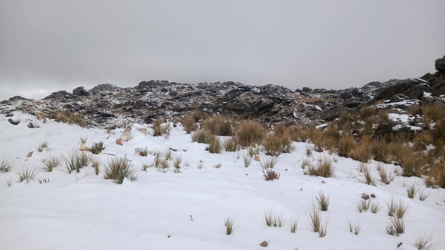 El cerro Champaqu se encuentra en Pampa de Achala y tiene una altura de 2790 metros en la cumbre