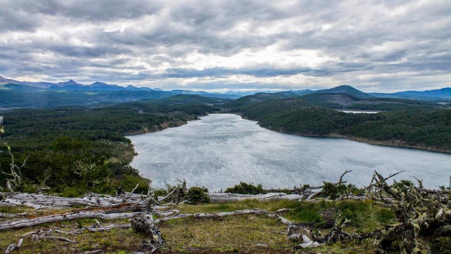 Reserva Provincial Corazn de la Isla la ms grande de la provincia destinada a proteger majestuosos paisajes Foto Cristian Urrutia