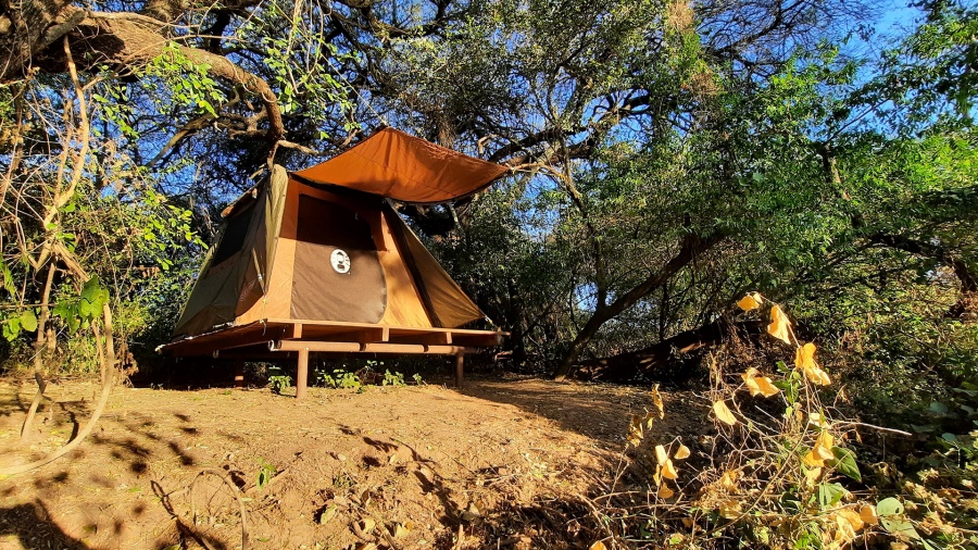 El parque cuenta con un camping donde montar carpas propias o alquiladas en el lugar