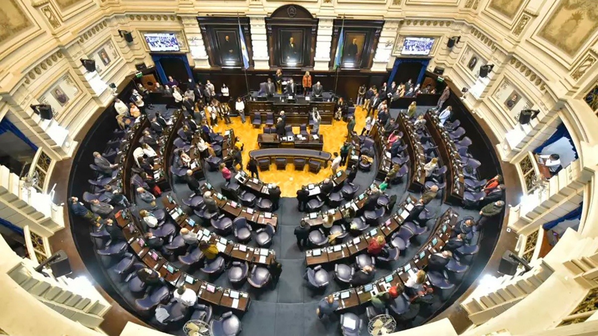 El da de la votacin de la ley propuesta por la diputada del Frente de Todos Marian Larroque Foto Twitter