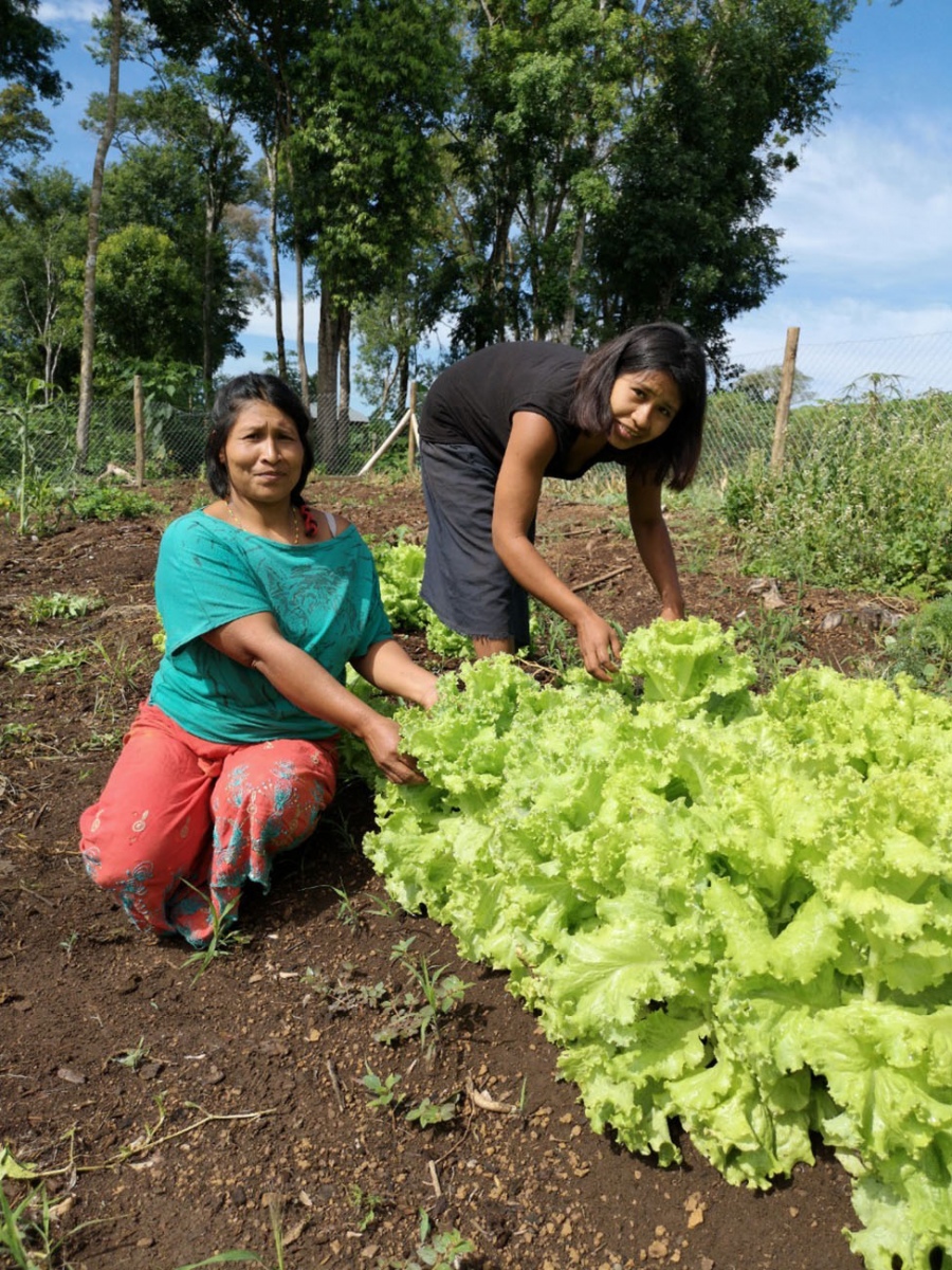 La agricultura familiar una de las actividades que generan trabajo Foto Patricio Sutton 