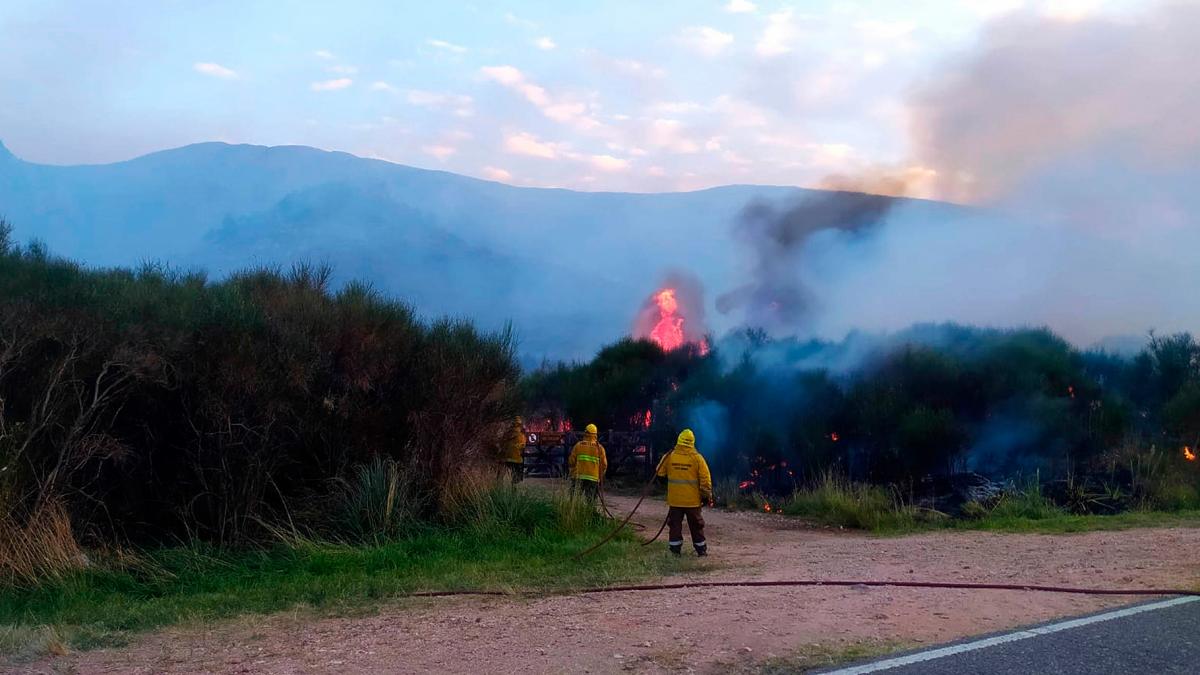 El fuego comenz el domingo pasadas las 19 Foto Prensa